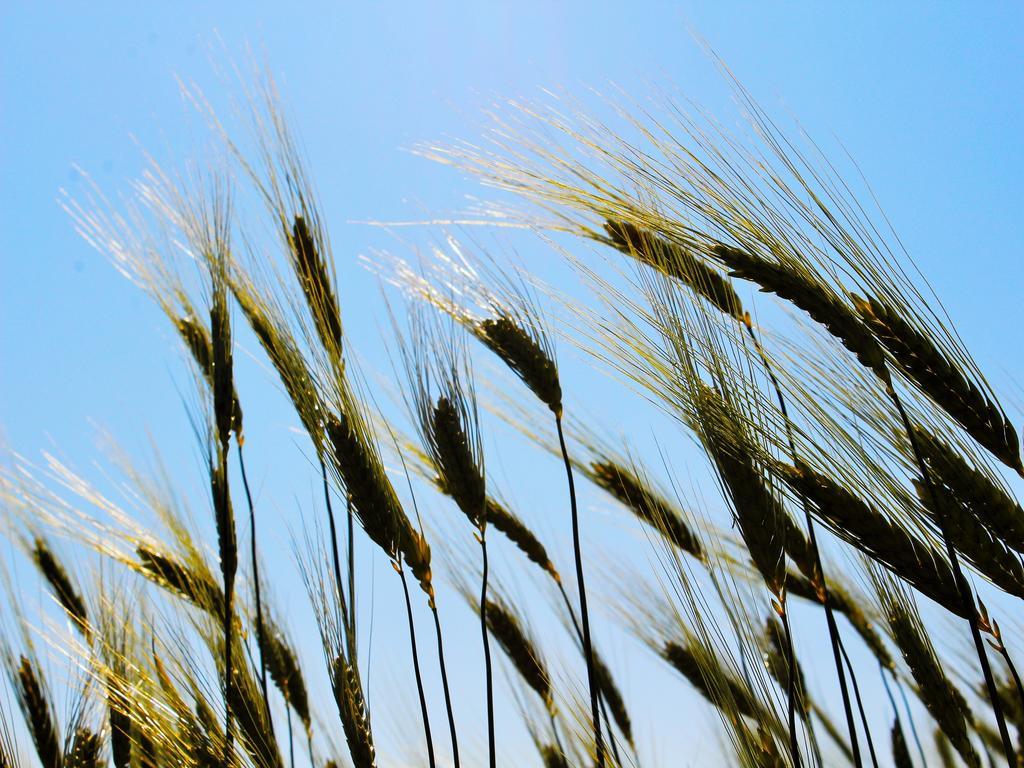 Agri Rio Villa Rio Salso Di Tavullia ภายนอก รูปภาพ